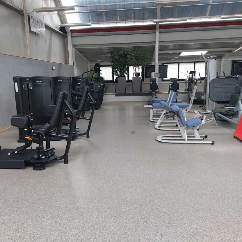 Blick in ein Fitnessstudio mit verschiedenen Trainingsger&auml;ten und einem Pflanzenarrangement im Hintergrund.