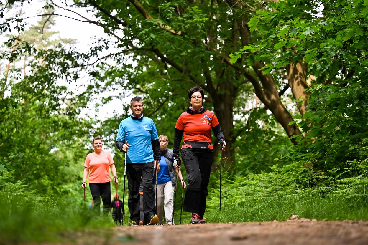 F&uuml;nf Personen wandern mit Nordic-Walking-St&ouml;cken auf einem Waldweg zwischen gr&uuml;nen B&auml;umen und Str&auml;uchern.