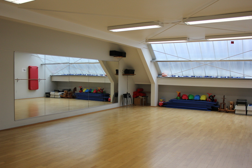 Leere Trainingshalle mit Holzfu&szlig;boden, gro&szlig;en Spiegeln und bunten Fitnessger&auml;ten auf einem blauen Teppich im Hintergrund.