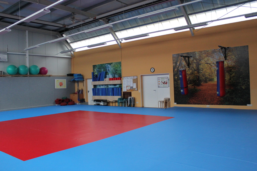 Sporthalle mit blauer und roter Bodenfl&auml;che, zwei Boxs&auml;cken und farbenfrohen W&auml;nden sowie Fitnessger&auml;ten im Hintergrund.